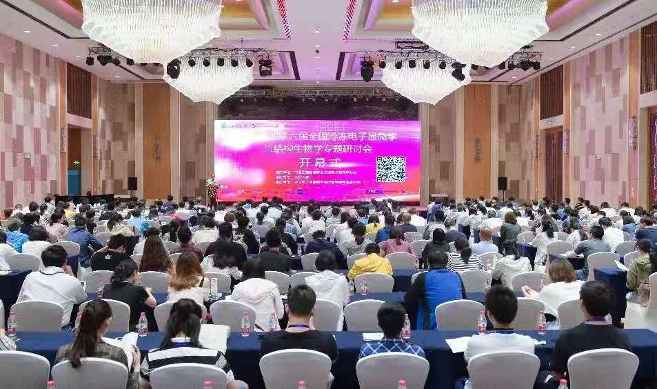 1593100766386135.jpg 1.jpg