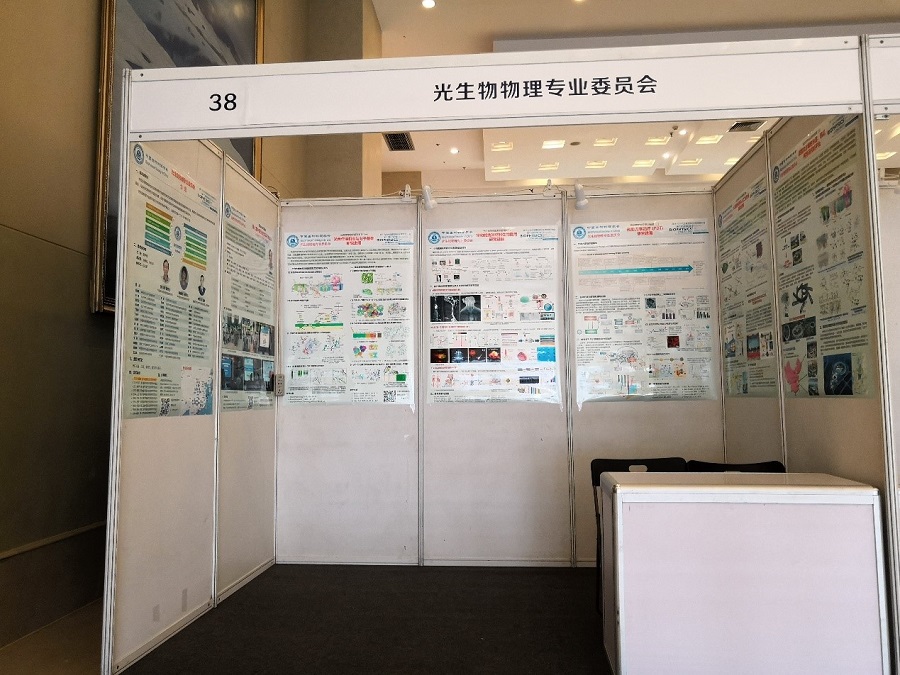 1594291502424119.jpg 1.jpg